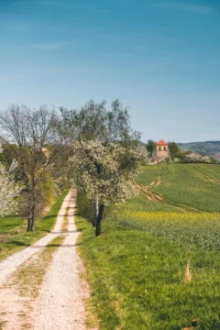 Výhled do krajiny Zvonička Borek